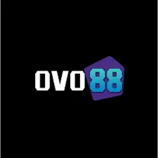 OVO88 - Game Gaple Seru dan Mengasyikkan